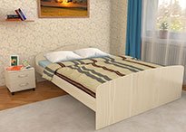 Кровать Эконом 1600х2000 с матрасом