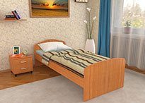 Кровать Эконом в цвете Ольха 900х2000 с матрасом